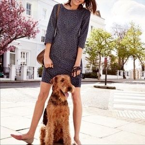 Boden Purple Heart corduroy dress with pockets Sz 6P